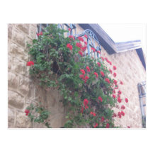 Yemin Moshe Carte Postale