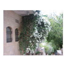 Yemin Moshe Cartes Postales
