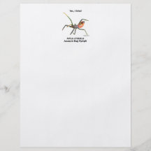 Yes I Bite Assassin Bug Flyer