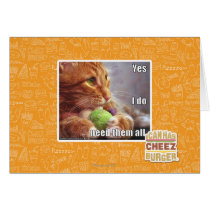 Yes I do need them all Card