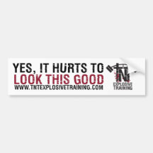 YES,IT HURTS TO LOOK THIS GOOD BUMPER STICKERS