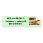 Yes on Proposition 2 - Bumper Sticker bumper stickers