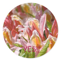 YES! stickers Pink Orange Rhodies Flowers Garden