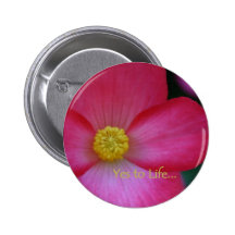 Yes to Life Buttons