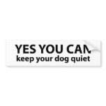 Yes, You Can ---Bumper Sticker bumper stickers