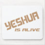 Yeshua is alive terre craquée mouse pad