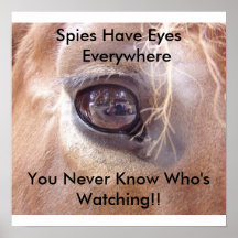 Yeux d'espions affiches