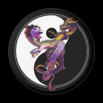 Yin Yang and the Dragons Dance of Love magnets