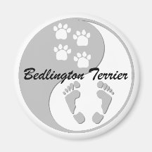 yin yang Bedlington Terrier Fridge Magnet