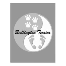 yin yang Bedlington Terrier Post Cards