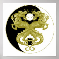 Yin Yang Dragons 5 Poster