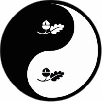 Yin Yang Ecology Photo Cutouts