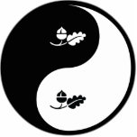 Yin Yang Ecology photo sculptures