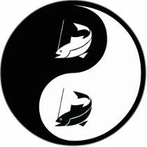 Yin Yang Fishing Photo Cutout
