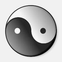 Yin-Yang Magnet