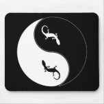 Yin Yang Salamander