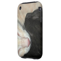 Ying Yang Cats Tough iPhone 3 Case