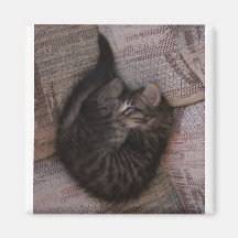 Yoga Kitten Square Magnet