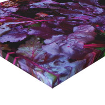 YOGA VEGAN ART CANVAS GARDEN LETTUCE GALLERY WRAPPED CANVAS