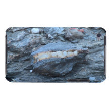 Yolly Bolly Ca Geology Rocks Earth History Stone Case-Mate iPod Touch Case