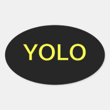 YOLO You only live once Oval Stickers