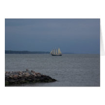 York River Card