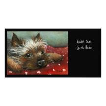 Yorkie and hearts photo cards
