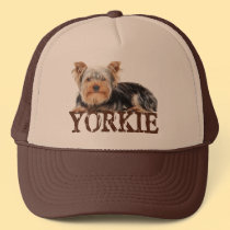 Yorkie hats