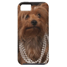 Yorkie in Pearl Necklace iPhone 5 Cases