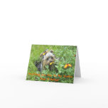 Yorkie Note Cards-Anything You Can Do My Yorkie
