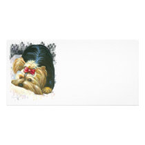 Yorkie Peek a Boo Photo Card Yorkshire Terrier