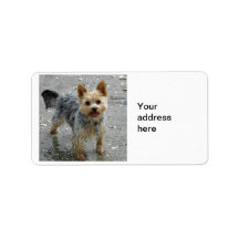 Yorkie Personalized Address Labels