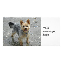 Yorkie Photo Card Template