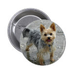 Yorkie Pins