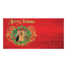 Yorkie Plaid n Holly Christmas Photo Cards