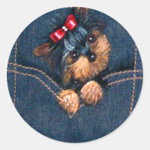Yorkie Puppy in Pocket Sticker