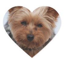 Yorkie  Stickers