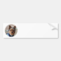 Yorkie Terrier  Bumper Sticker