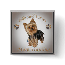 Yorkie Who Said I Need More Training