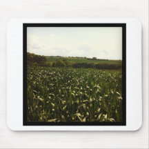 Yorkshire field mouse mat