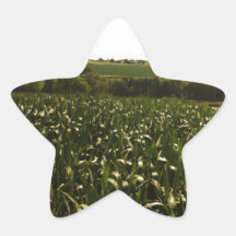 Yorkshire field sticker