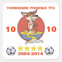 Yorkshire Phoenix TFC 10th Anniversary Sticker