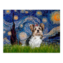 Yorkshire Terrier (Biewer) - Starry Night Post Cards