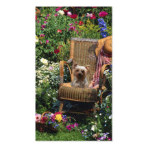 Yorkshire Terrier Breeder Business Card