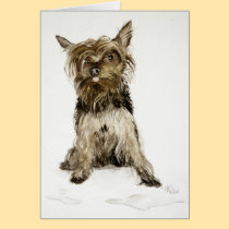 Yorkshire Terrier cards