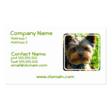 Yorkshire Terrier Dog Business Card