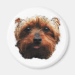 Yorkshire Terrier Fridge Magnets