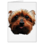 Yorkshire Terrier Greeting Card