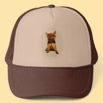 Yorkshire Terrier hats