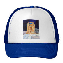 Yorkshire Terrier Hat